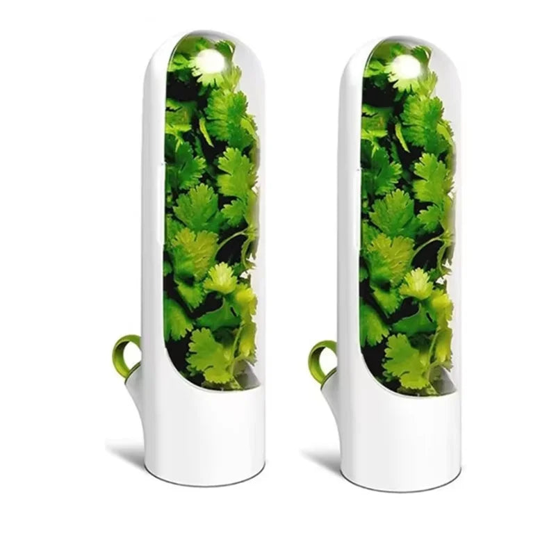 Fresh Herb Storage Container — Airtight Vegetable Preservation Bottle
