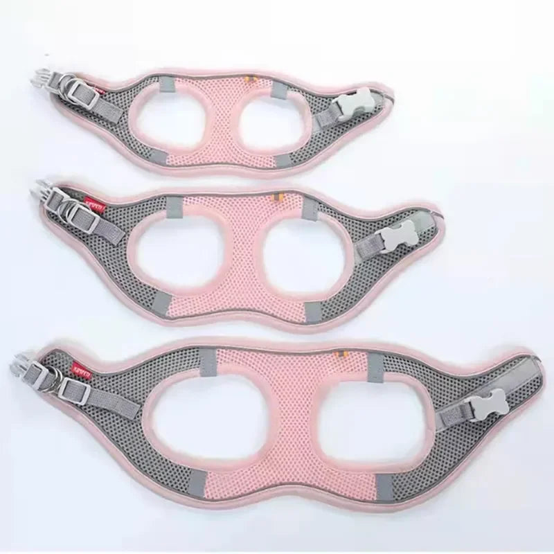 Reflective Pet Harness and Leash Set — Breathable Mesh Vest for Small to Medium Dogs