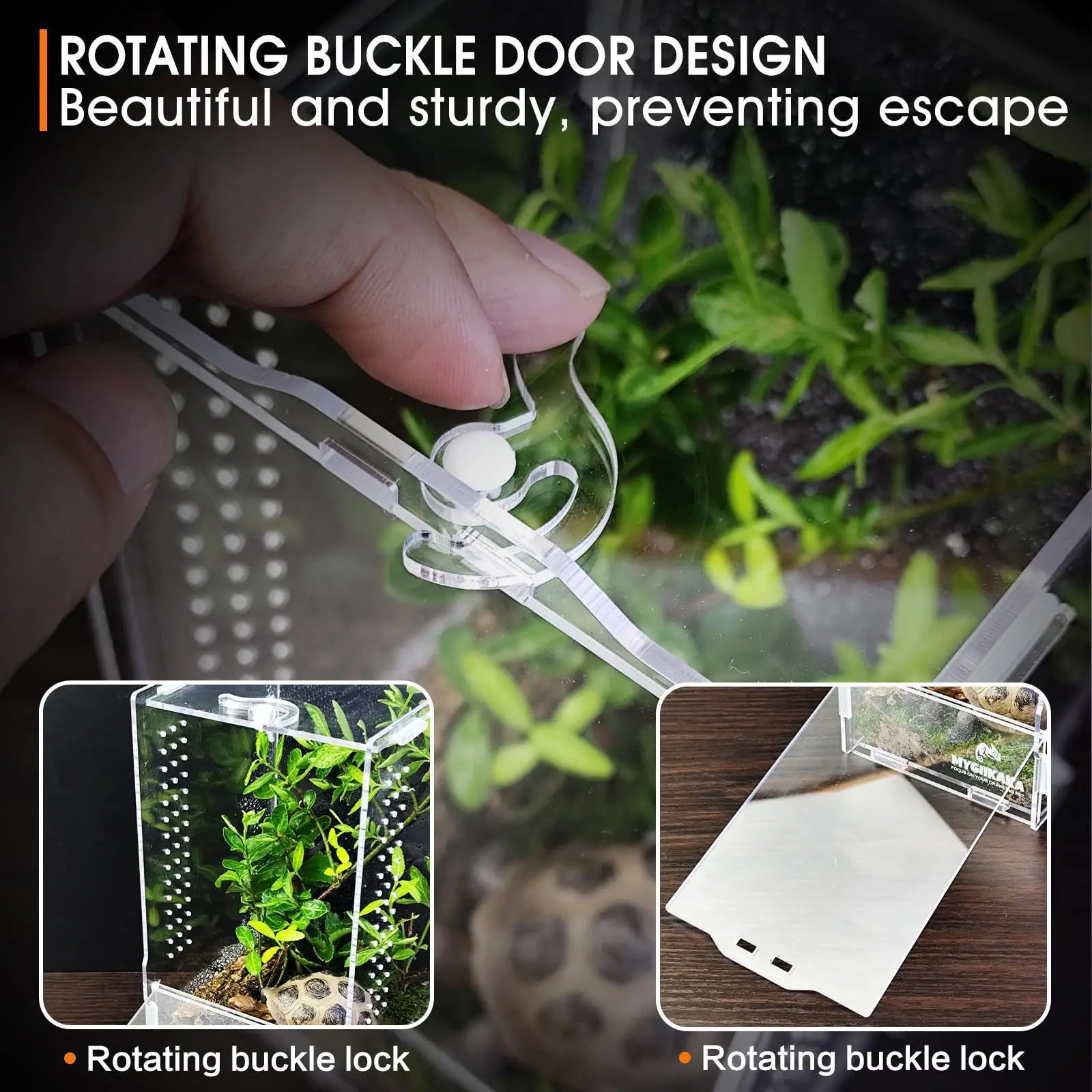 Reptile Terrarium — Transparent Habitat Cage