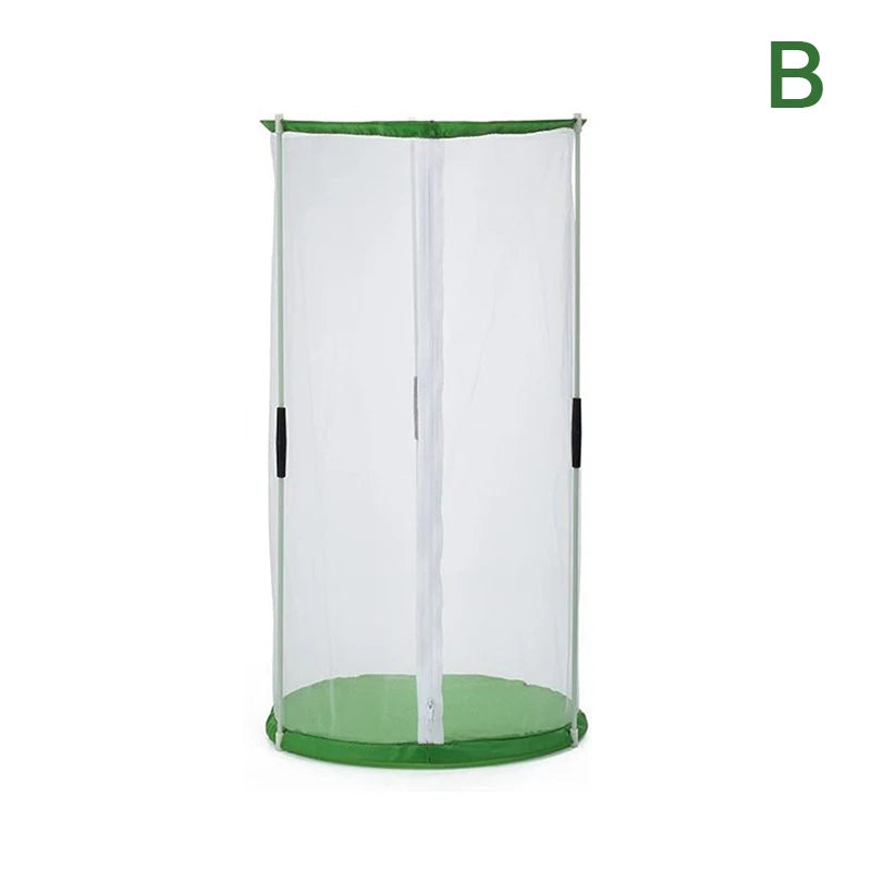 Butterfly Observation Cage — Portable Insect Habitat for Nature Study