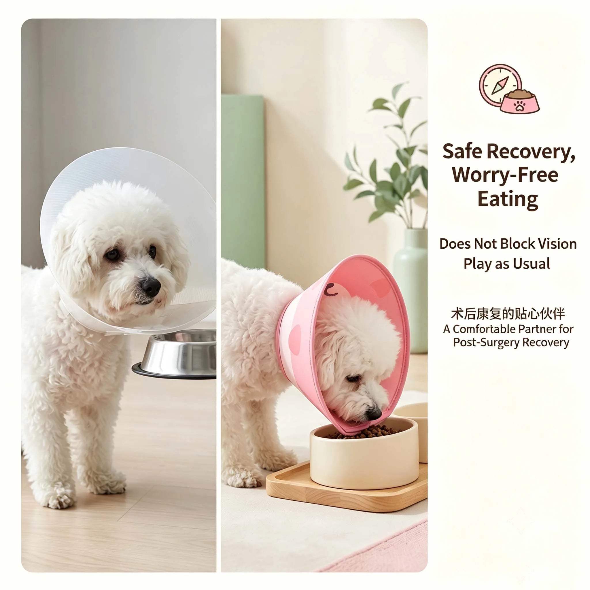 Cartoon Recovery Cone for Pets — Rigid Protective Elizabeth Collar