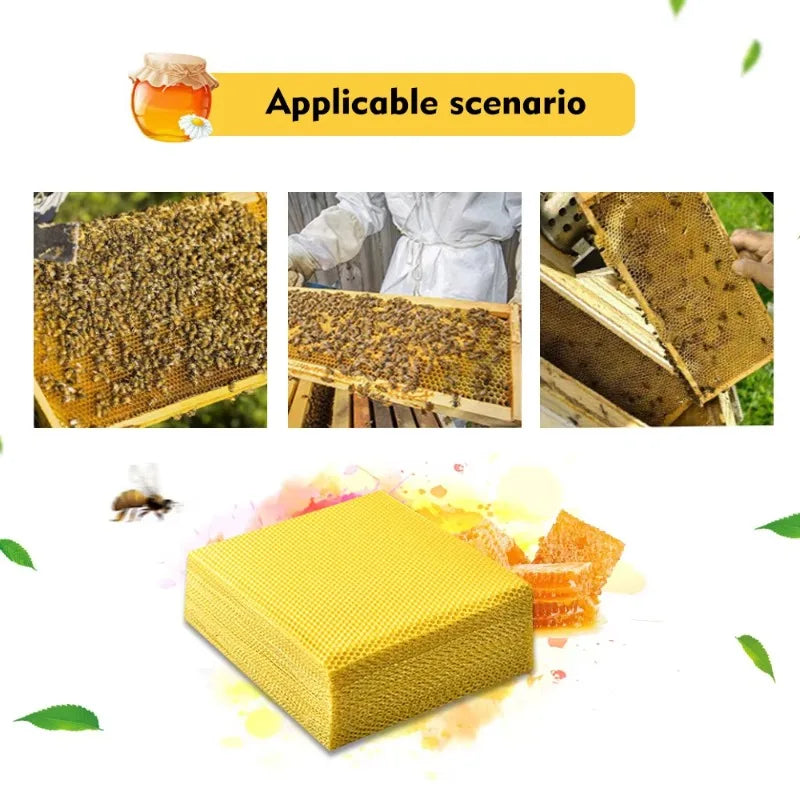 Natural Beeswax Foundation Sheets — Deep Cell Honeycomb for Beehives