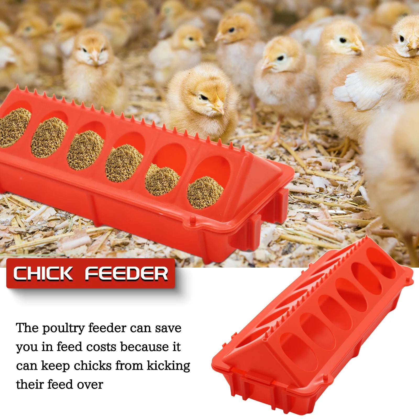 Automatic Poultry Feeder and Waterer Set — Efficient Hydration & Feeding System