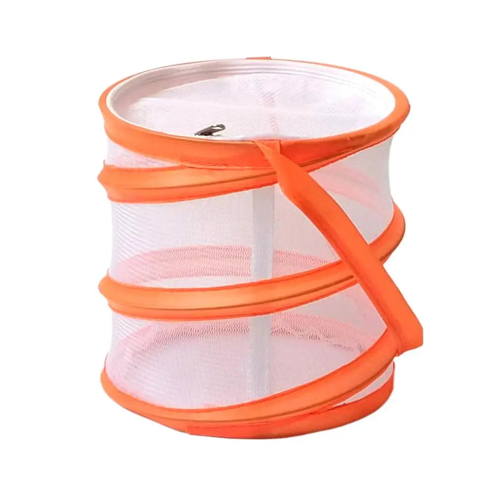 Collapsible Insect Observation Cage — Breathable Mesh Habitat for Butterflies