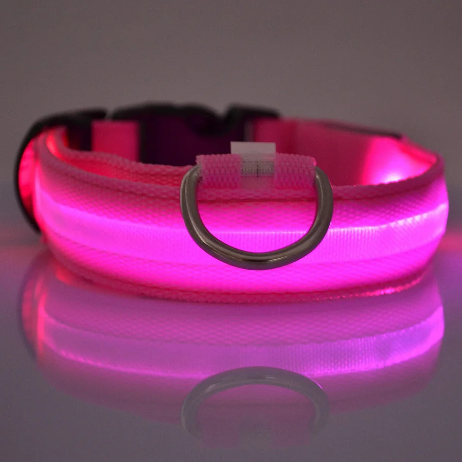 Nylon LED Glow Dog Collar — Luminous Night Safety Pet Accessory