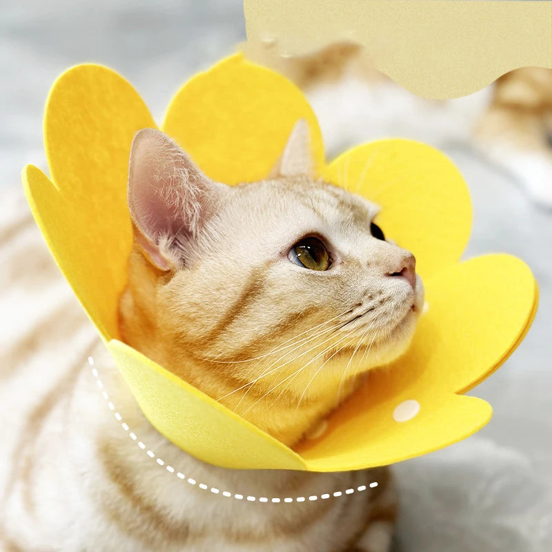 top pet Protective Recovery Collar — Soft Felt Cone for Wound Healing