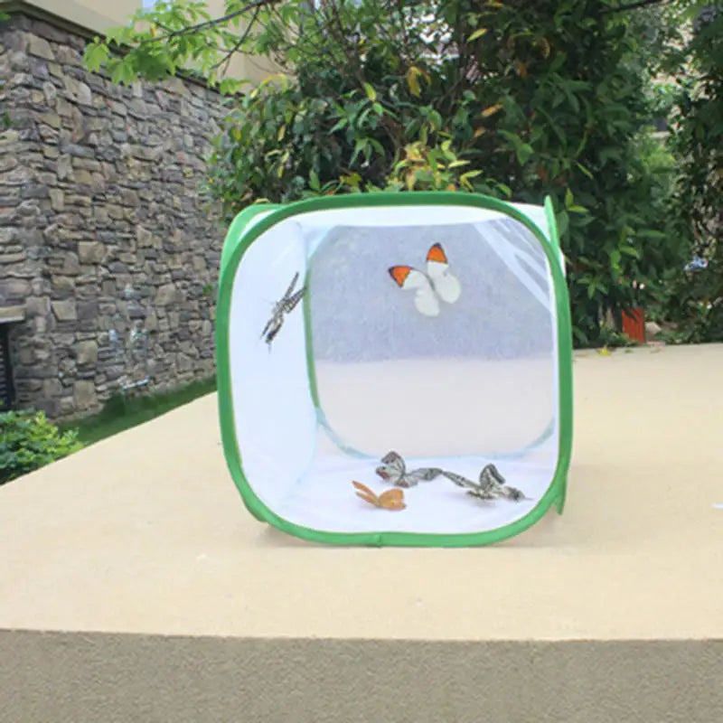 Collapsible Mesh Insect Cage — Outdoor Habitat for Butterfly and Cricket Observation