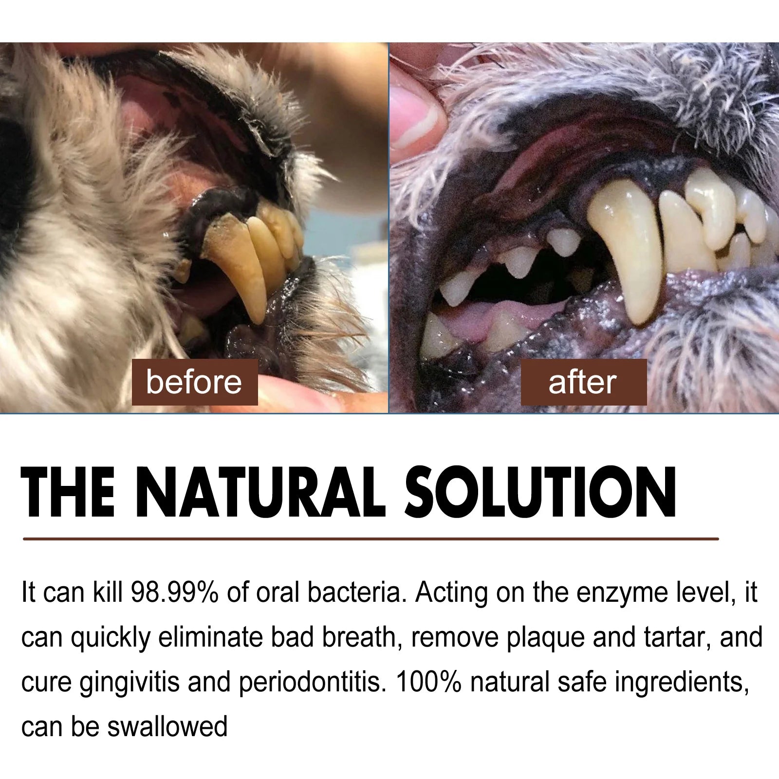 YEGBONG Pet Dental Care Spray — Bad Breath & Tartar Control Formula