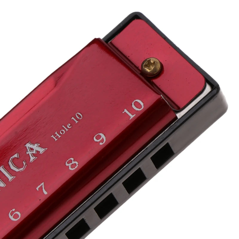 10 Hole Diatonic Harmonica — Beginner Musical Instrument with Case