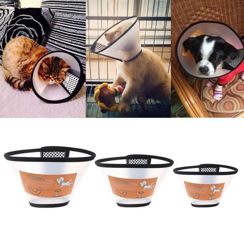 Despitego Pet Protective Recovery Collar — Soft Elizabethan Cone for Dogs and Cats