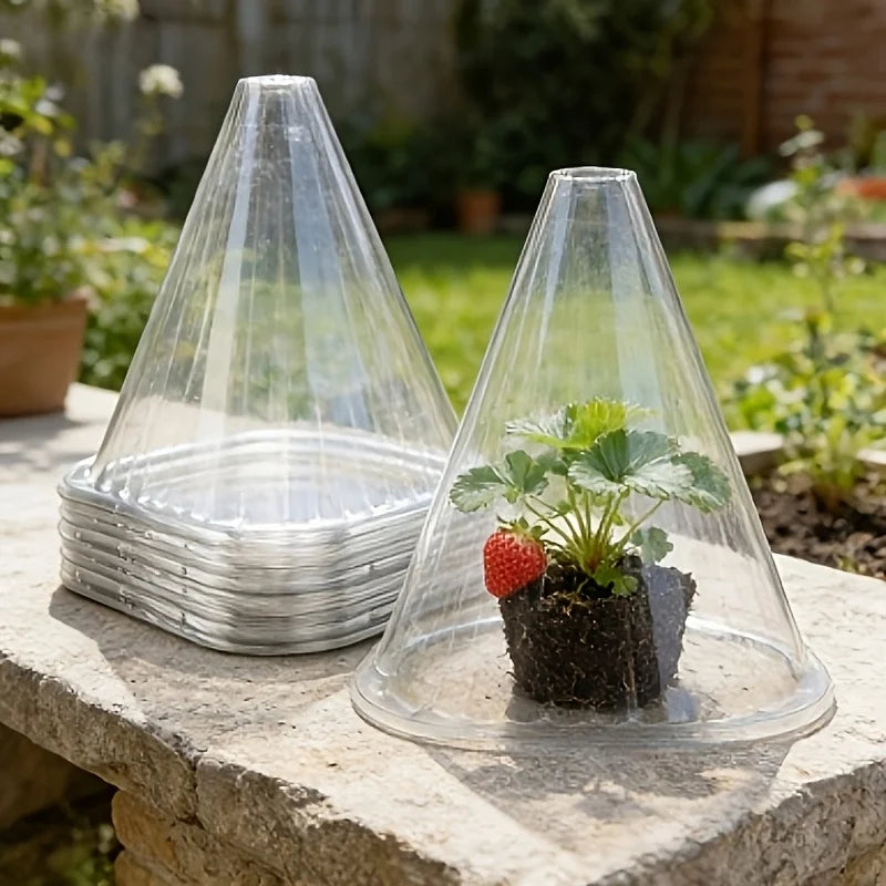 Reusable Plant Protector Cloches — Clear Seedling Covers with Mesh