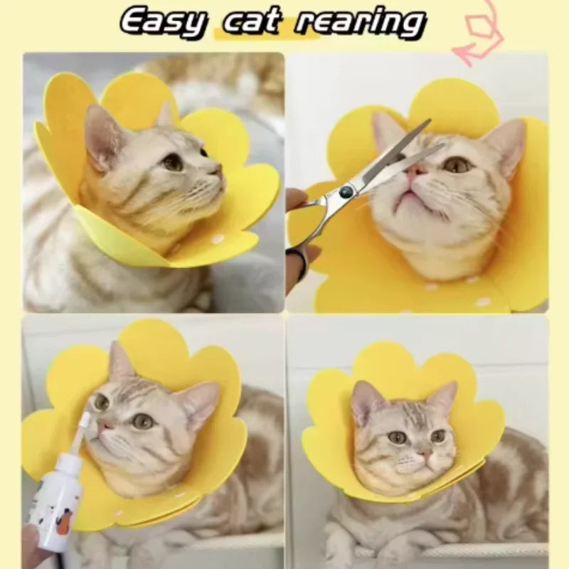 Adjustable Flower Shape Pet Recovery Collar — Protective Cone for Cats and Small Dogs