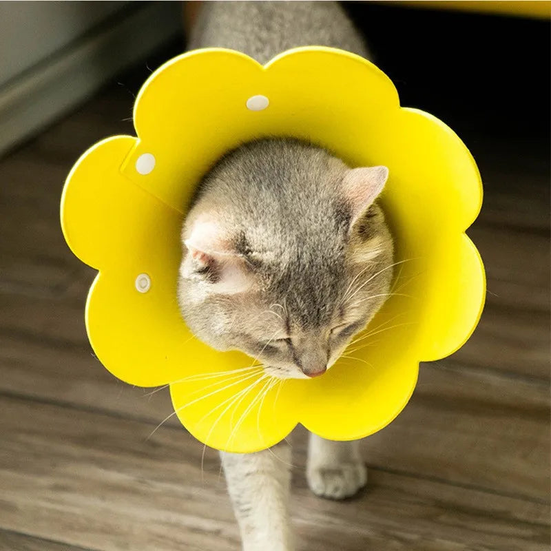 Pet Protective Recovery Collar — Anti-Bite Neck Cone for Dogs and Cats