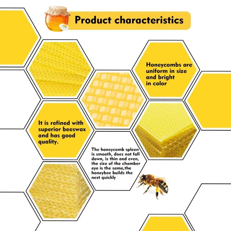 Natural Beeswax Foundation Sheets — Deep Cell Honeycomb for Beehives