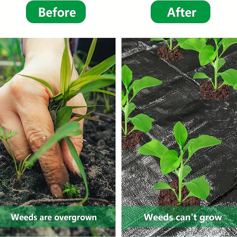 Perforated Weed Barrier Fabric — Breathable Non-Woven Garden Mat