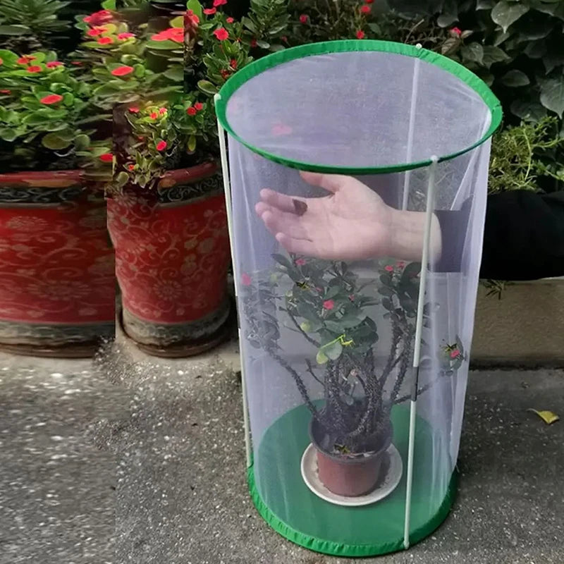 Butterfly Observation Cage — Portable Insect Habitat for Nature Study