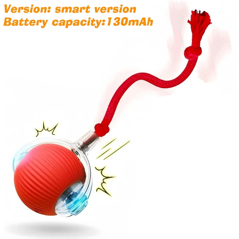 Right Cat Interactive Rolling Dog Ball — Smart Automatic Pet Toy