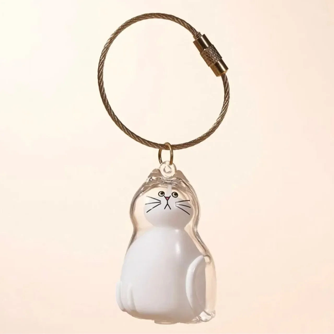 Pet Hair Memorial Keepsake Capsule — Transparent Keychain Pendant for Pet Lovers