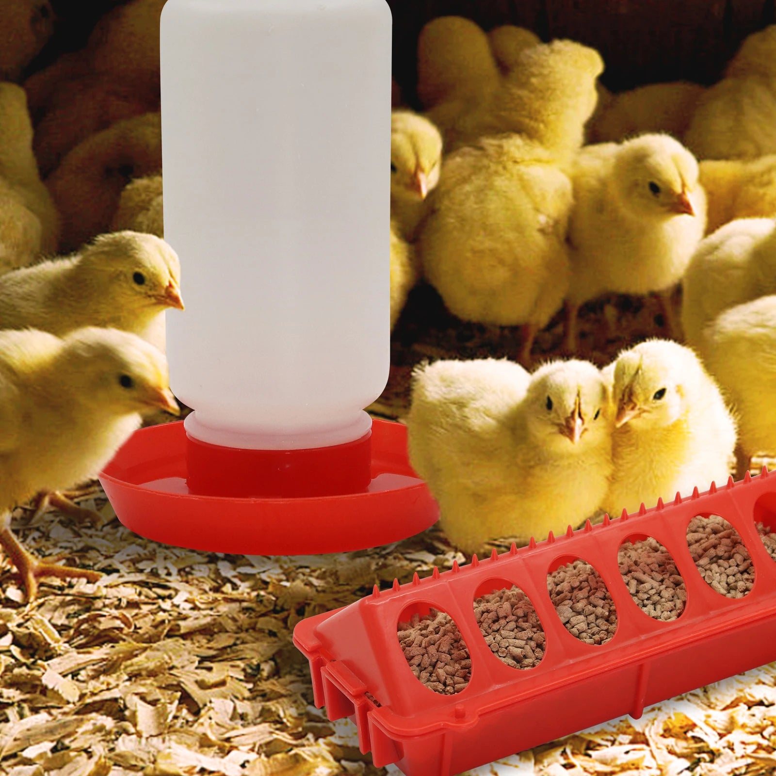 Automatic Chicken Feeder and Water Dispenser — Small Animal Feeding Station