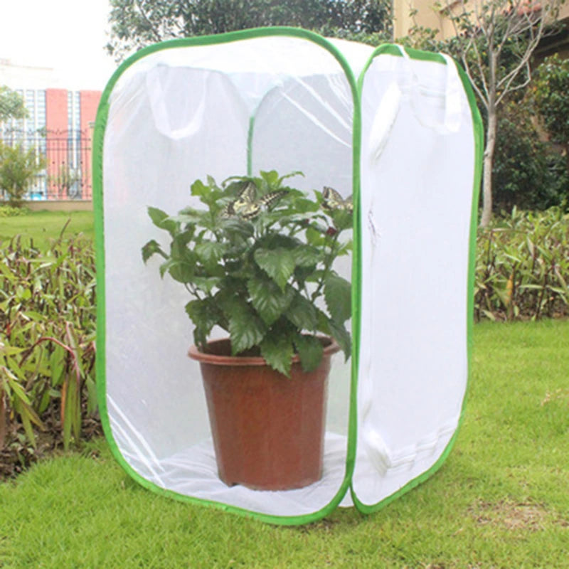 Collapsible Mesh Insect Habitat — Breathable Breeding Cage for Butterflies and Insects