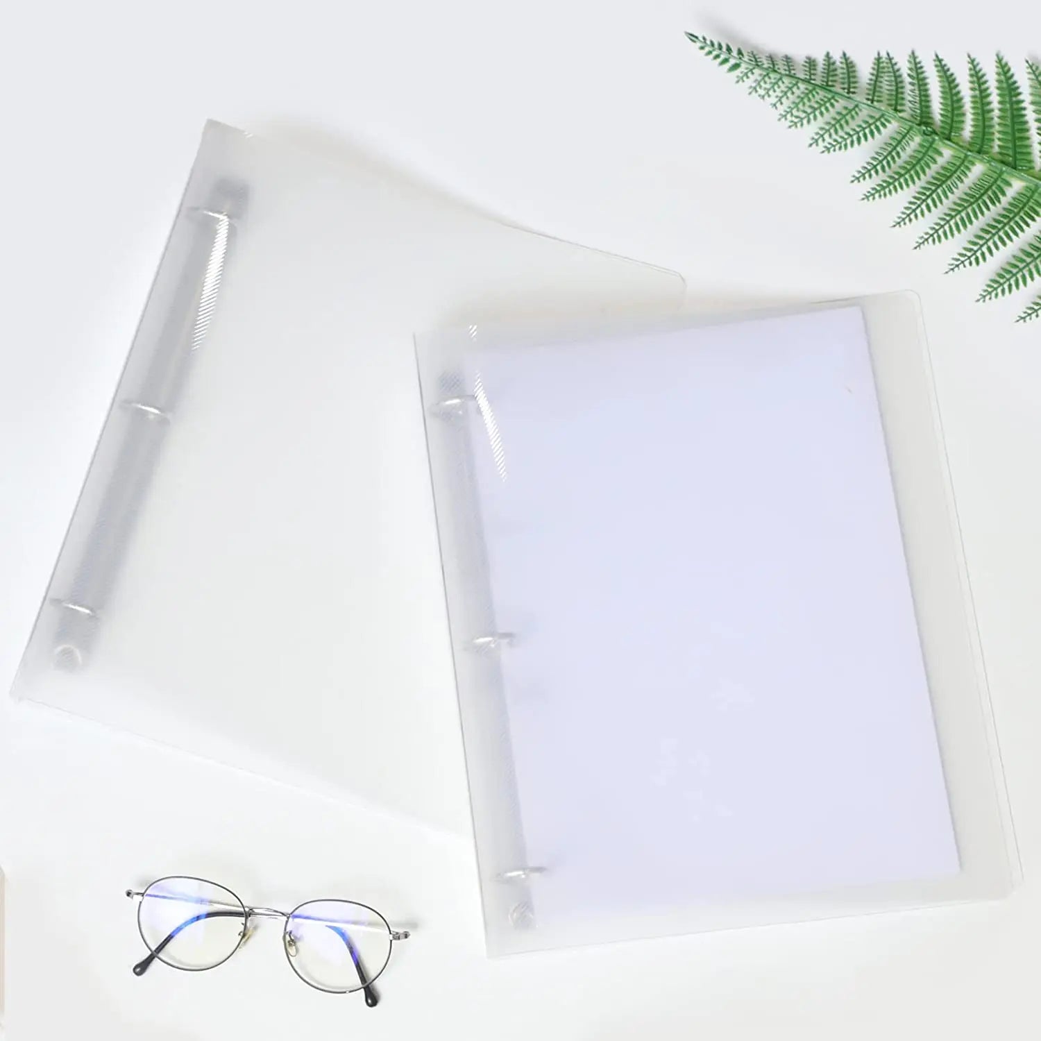Clear 3-Ring Binder Folder — Large A4 Size Document Organizer