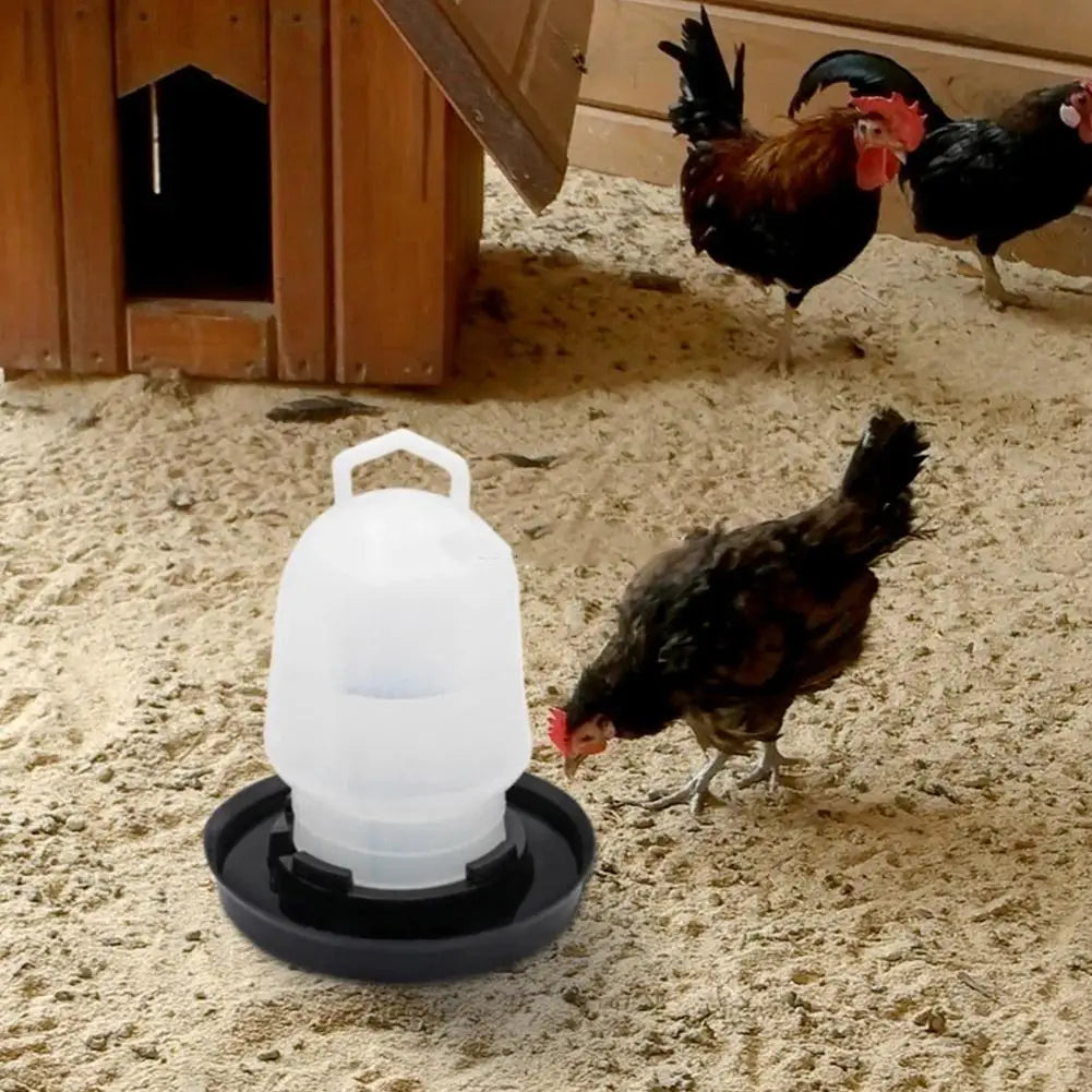 Automatic Poultry Waterer — Durable Chicken Drinker for Farm Animals