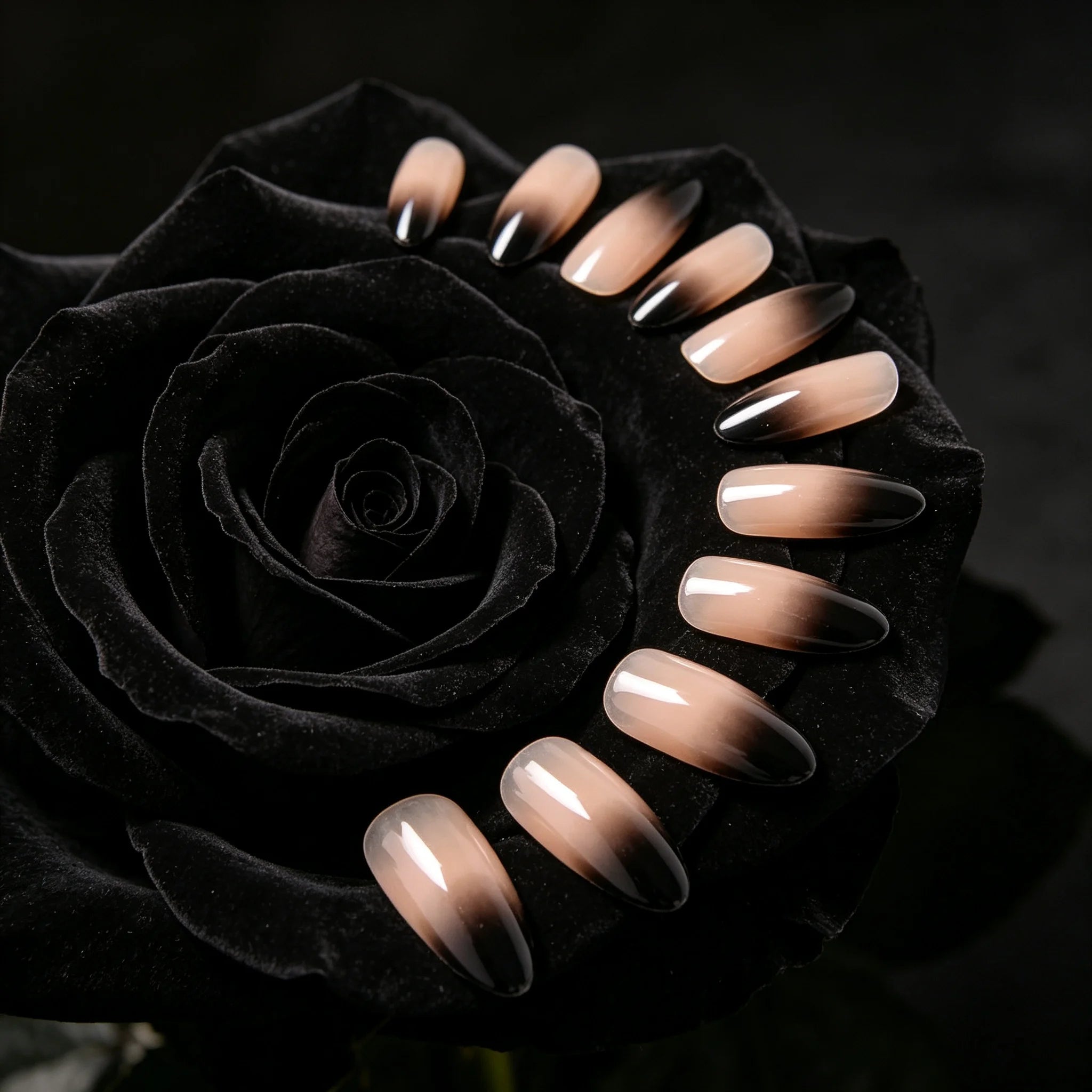 Short Almond Black French Gradient Press-On Nails — Reusable Halloween Party Set