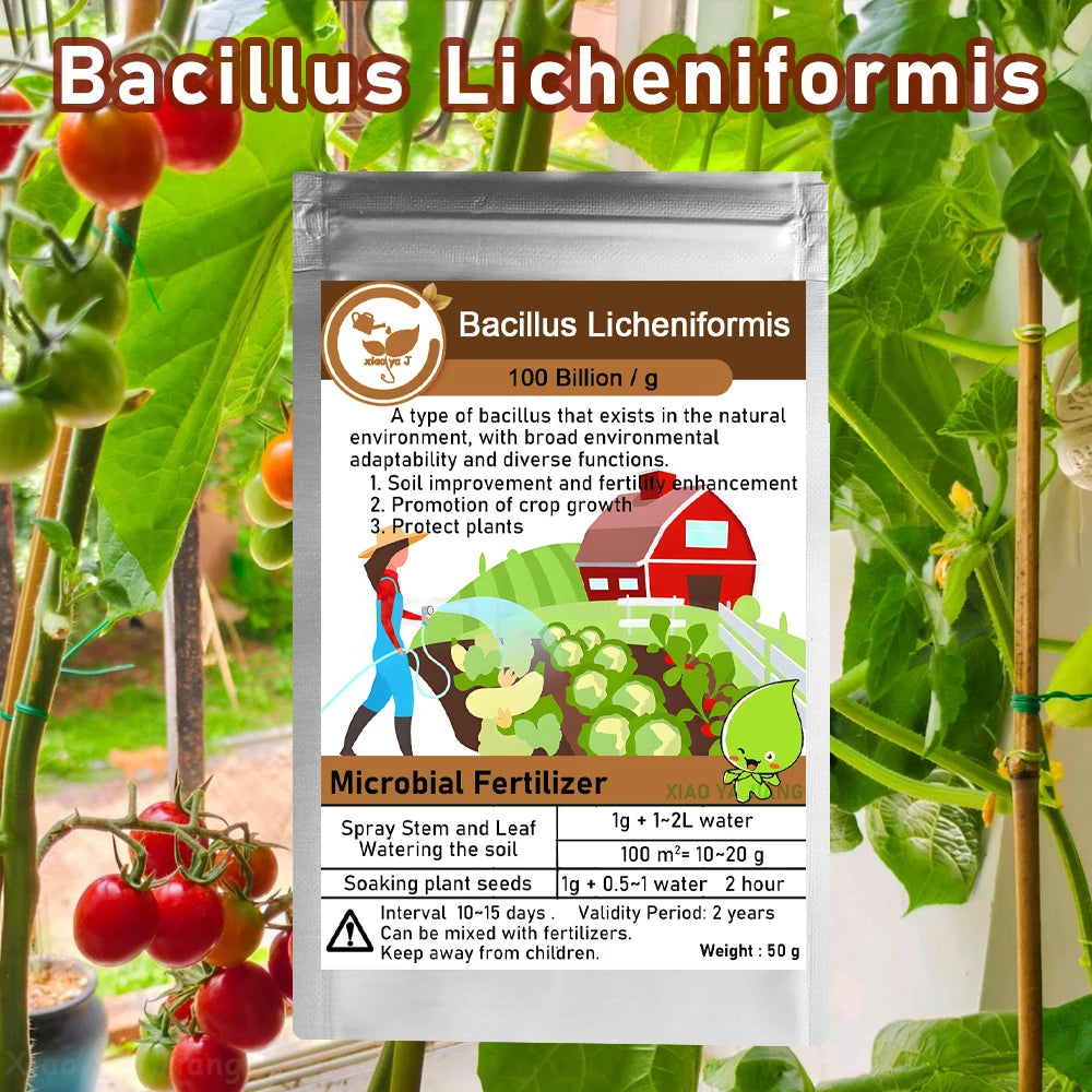 Bacillus Licheniformis Microbial Fertilizer — Organic Soil & Plant Vitality Booster