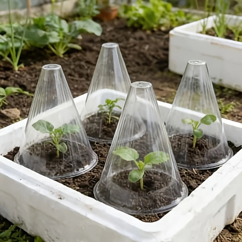 Reusable Plant Protector Cloches — Clear Seedling Covers with Mesh