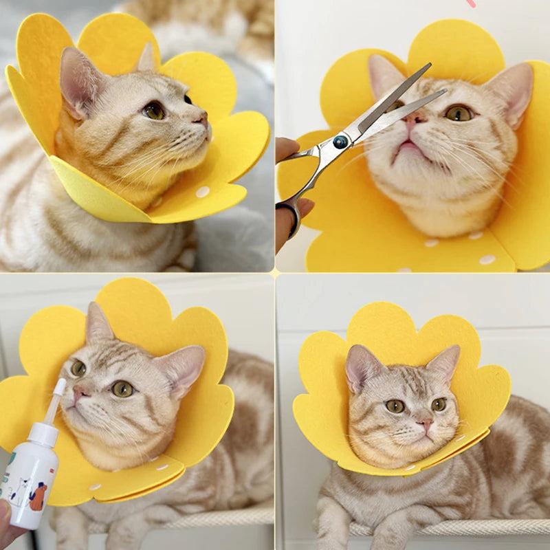 Pet Protective Recovery Cone — Anti-Bite Collar for Wound Healing