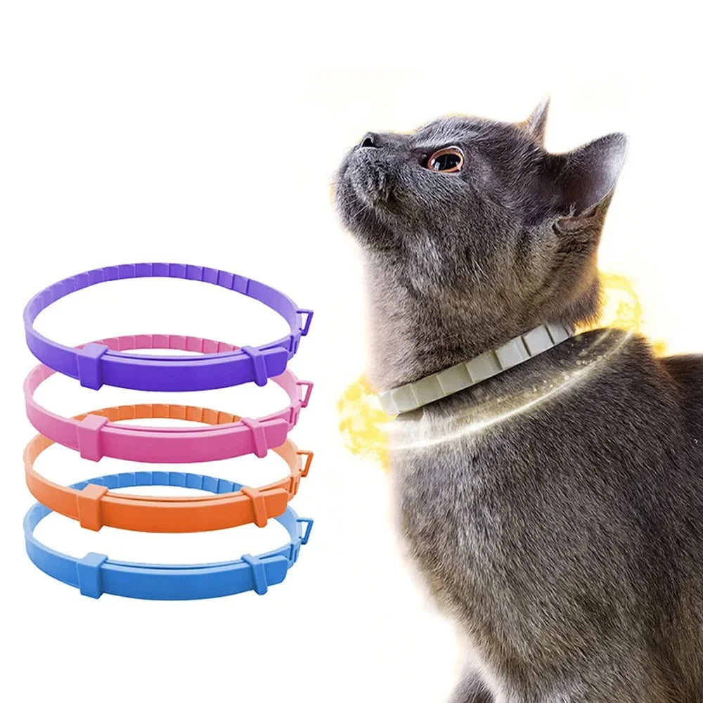 Adjustable Waterproof Pet Collar — Durable Plastic Design for Cats and Dogs