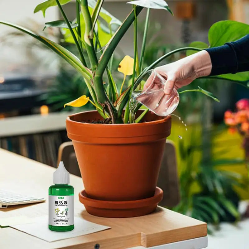 Plant Revitalizer Nutrient Solution — Organic Liquid Fertilizer for Healthy Growth