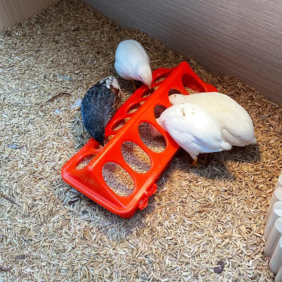 Automatic Chicken Feeder and Waterer — Large Capacity Poultry Feeding Station