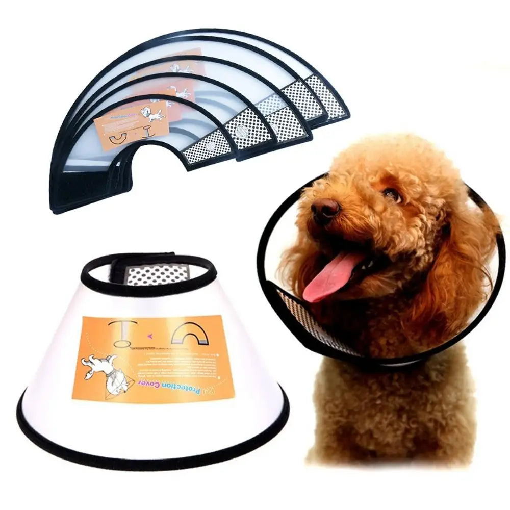 Pet Protective Recovery Collar — Anti-Bite and Wound Healing Cone