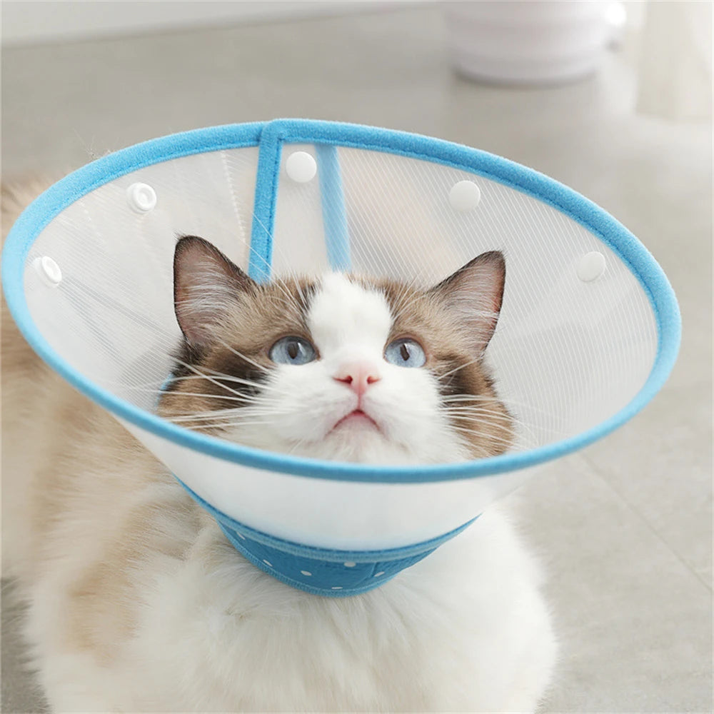 Pet Recovery Elizabethan Collar — Soft Padded Cone for Wound Healing