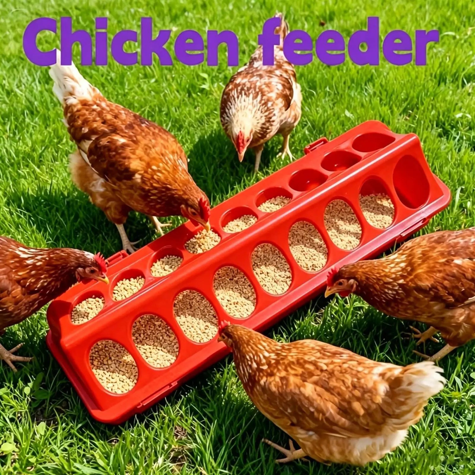 Multi-Bird Poultry Feeder — Spill-Proof Weather-Resistant Station