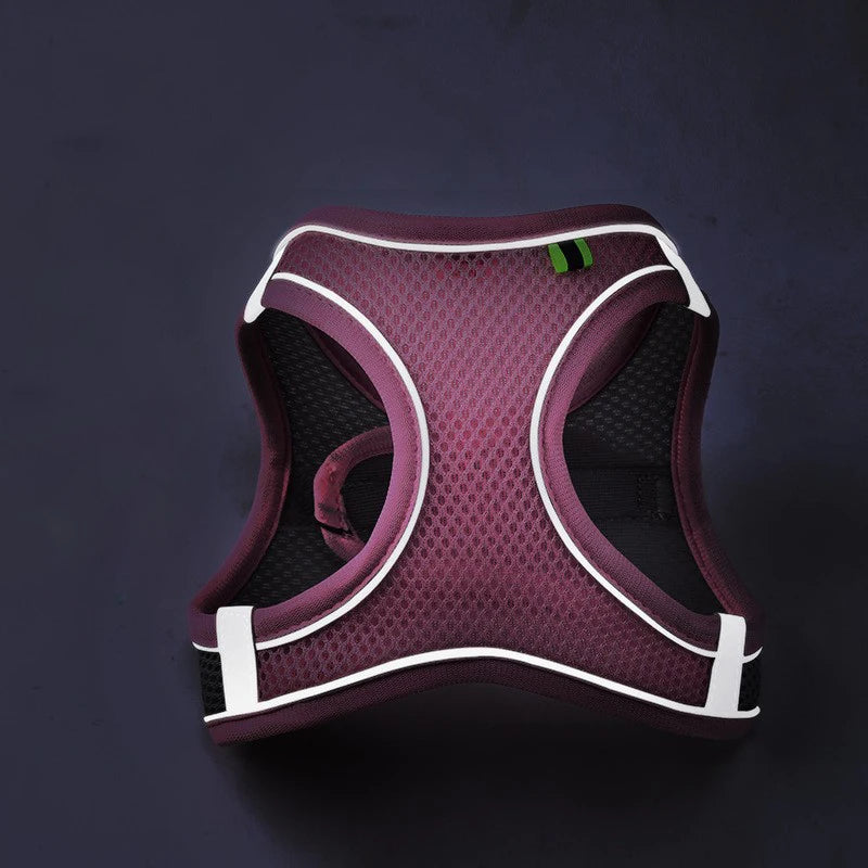 Reflective Pet Harness and Leash Set — Breathable Mesh Vest for Small to Medium Dogs