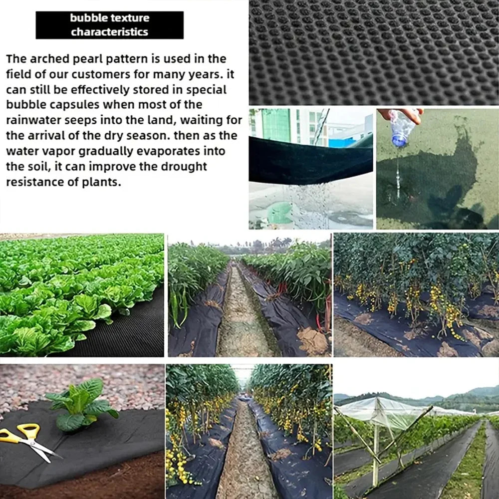 Tree Mulch Ring Weed Barrier — Biodegradable Garden Protector Mat