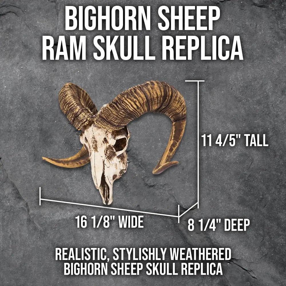 Bighorn Sheep Ram Skull Replica — Realistic Animal Decor, Weathered Finish