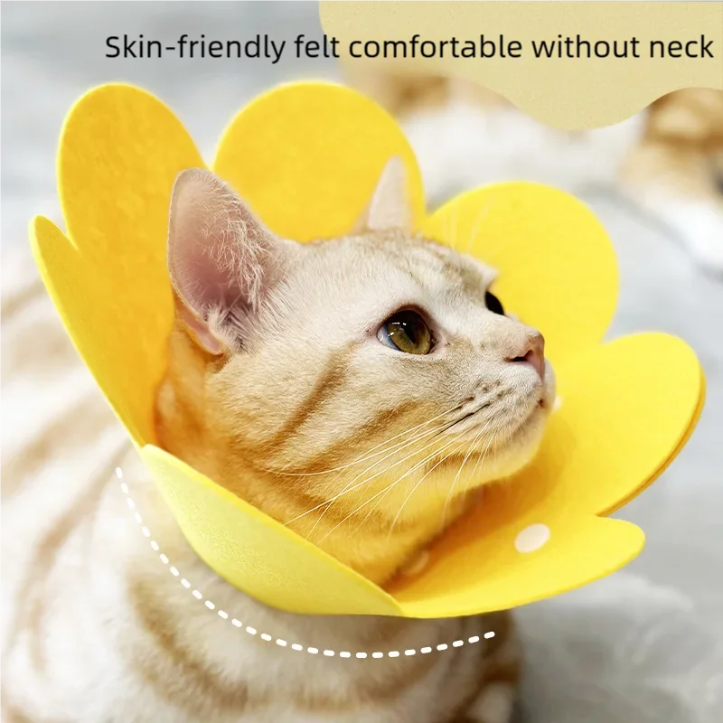 Pet Protective Recovery Collar — Anti-Bite Neck Cone for Dogs and Cats