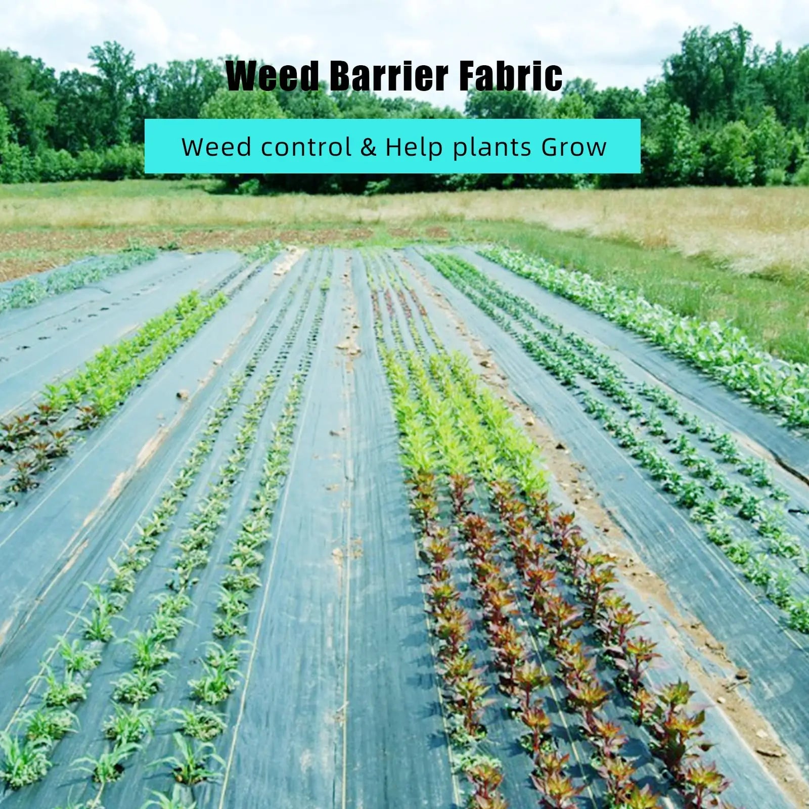 Heavy Duty Weed Barrier Fabric — Premium Landscape Ground Cover Mat