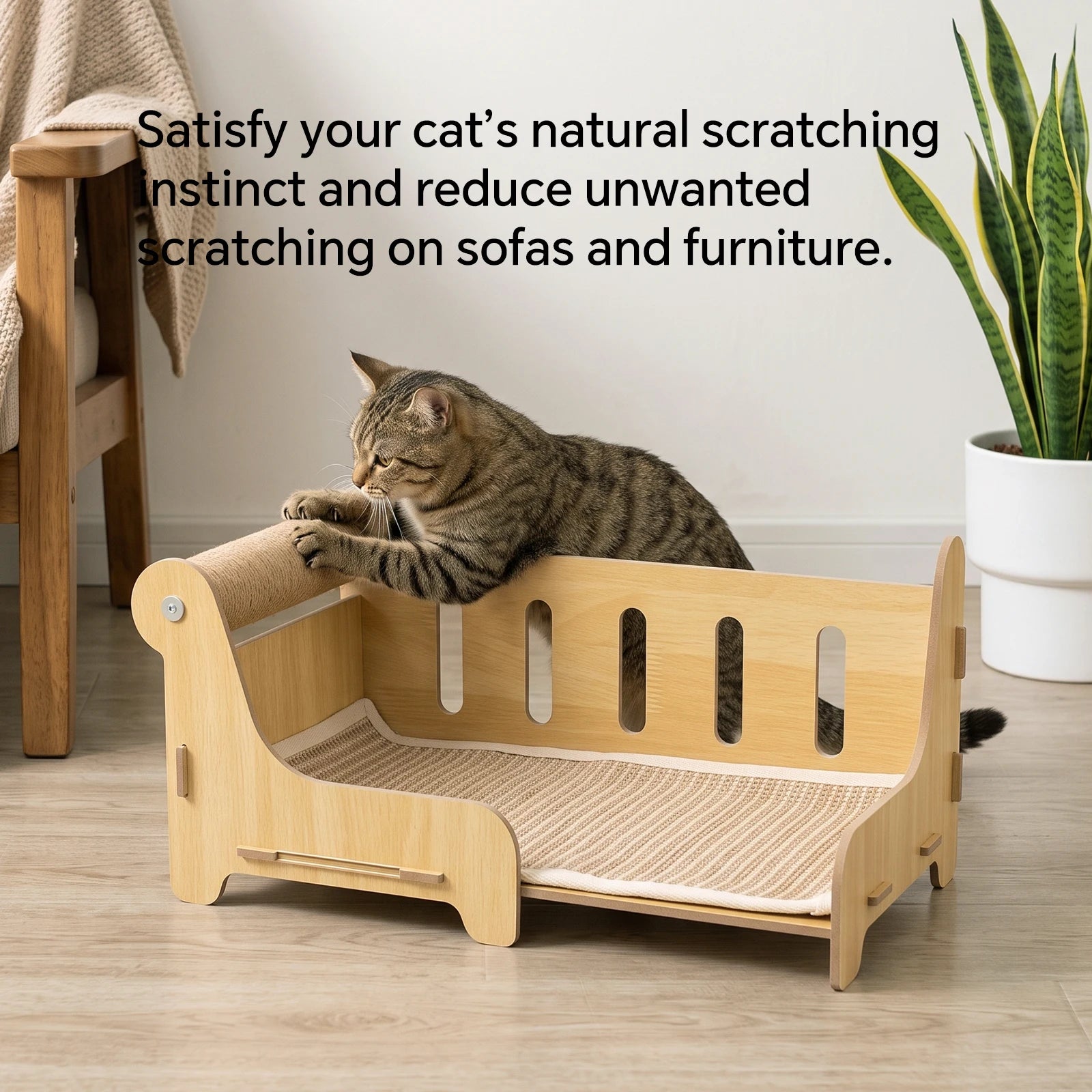 Cat Scratcher Lounge — Wooden Pet Bed