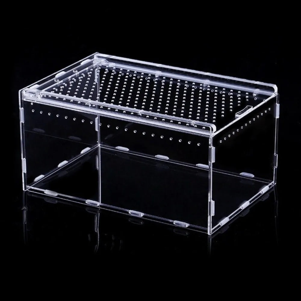 Transparent Acrylic Reptile Terrarium — Ventilated Habitat for Geckos and Snakes