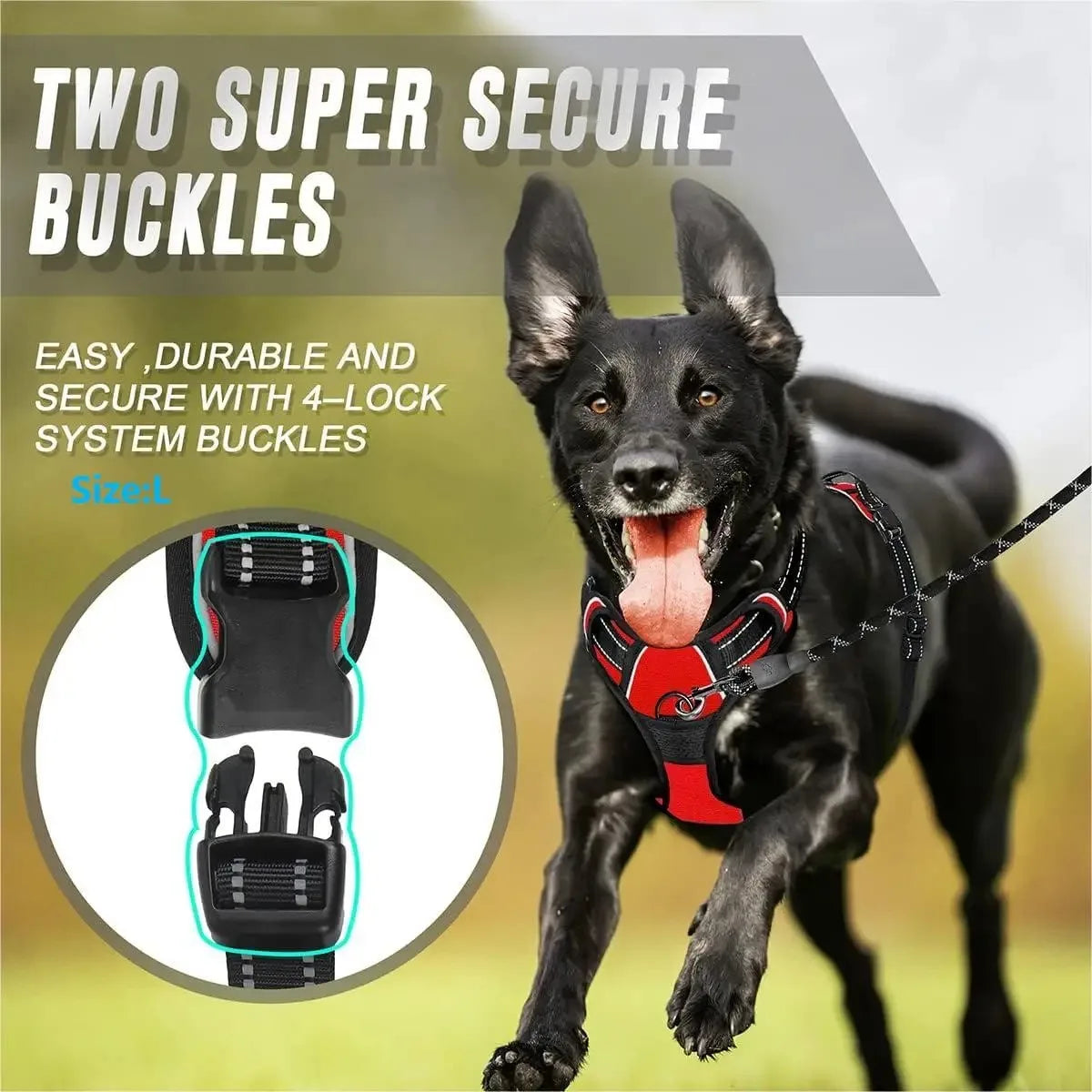 BeiYu Pet Dog Harness and Collar Set — Comfortable Vest and Leash Kit