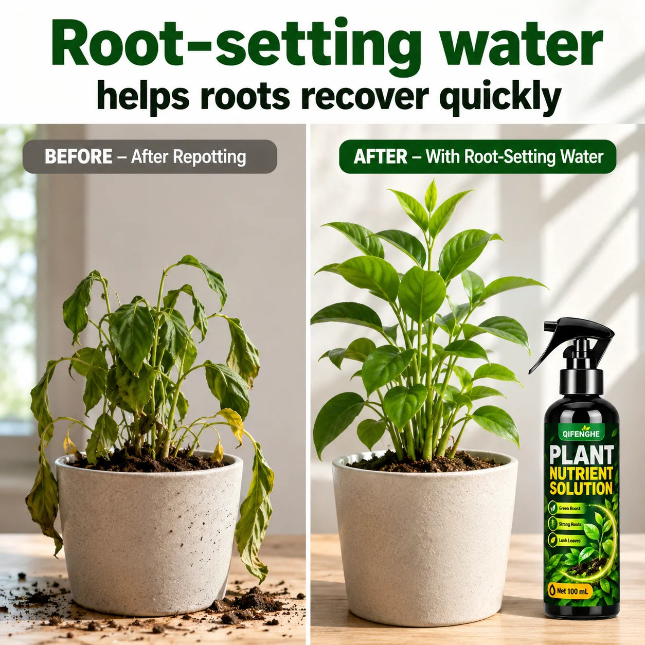 All-Purpose Plant Food Liquid Drops — Nutrient Solution for Roots and Stems