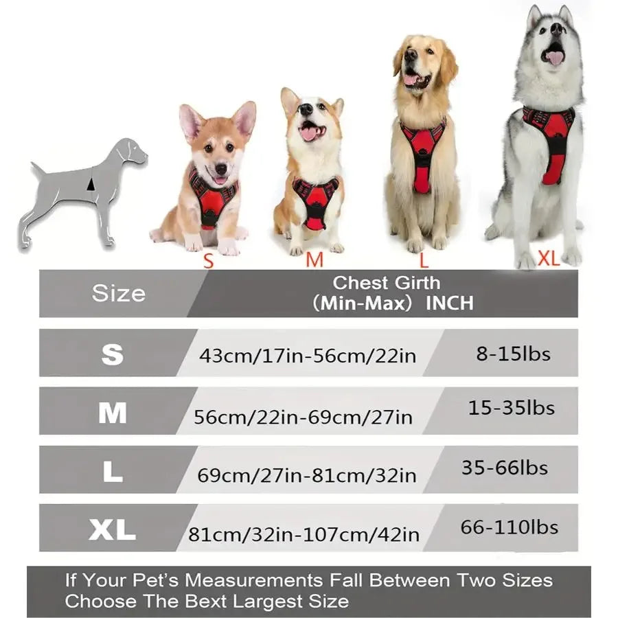 BeiYu Pet Dog Harness and Collar Set — Comfortable Vest and Leash Kit