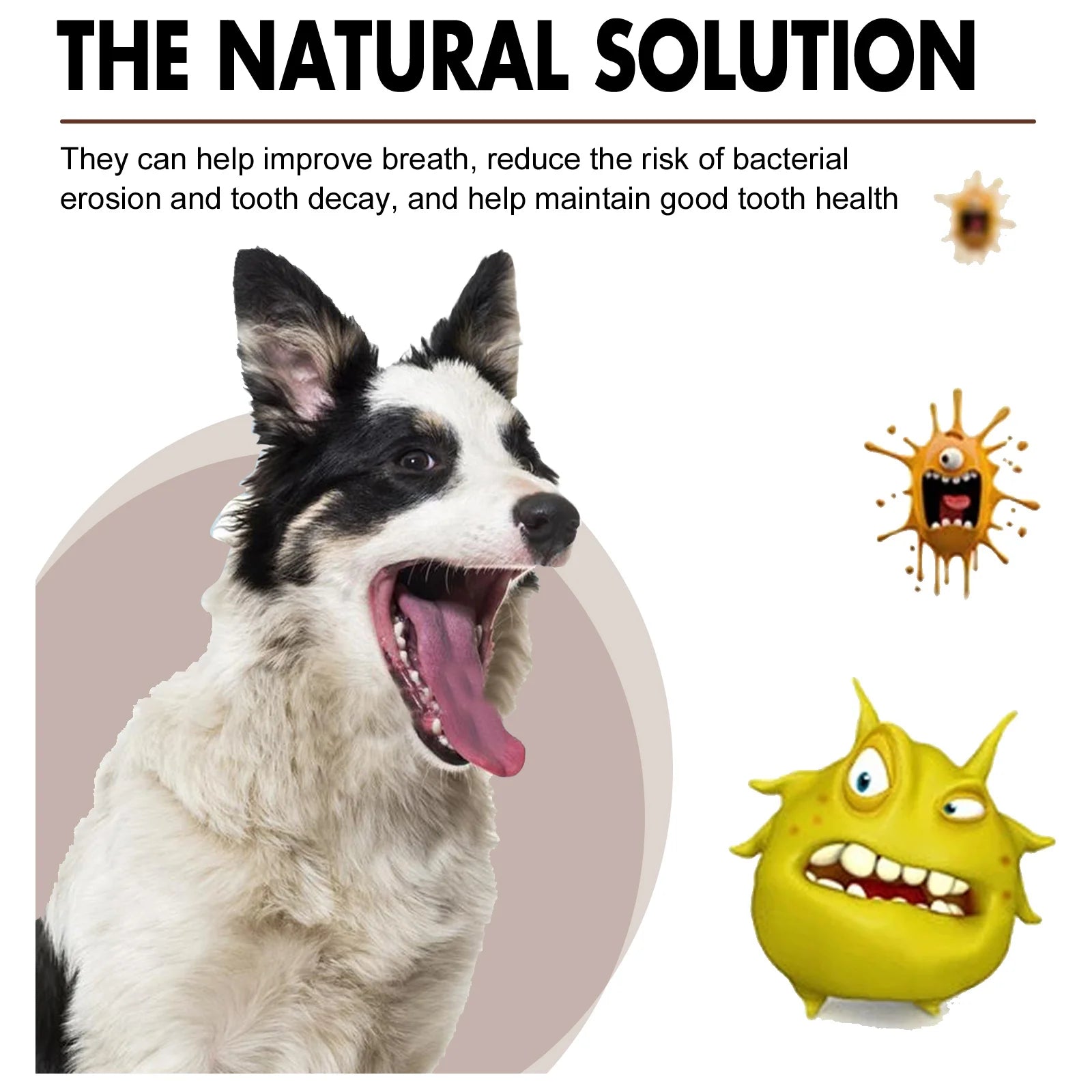 YEGBONG Pet Dental Care Spray — Bad Breath & Tartar Control Formula