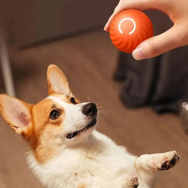 Automatic Moving Dog Toy Ball — Interactive Bouncing Puppy Toy