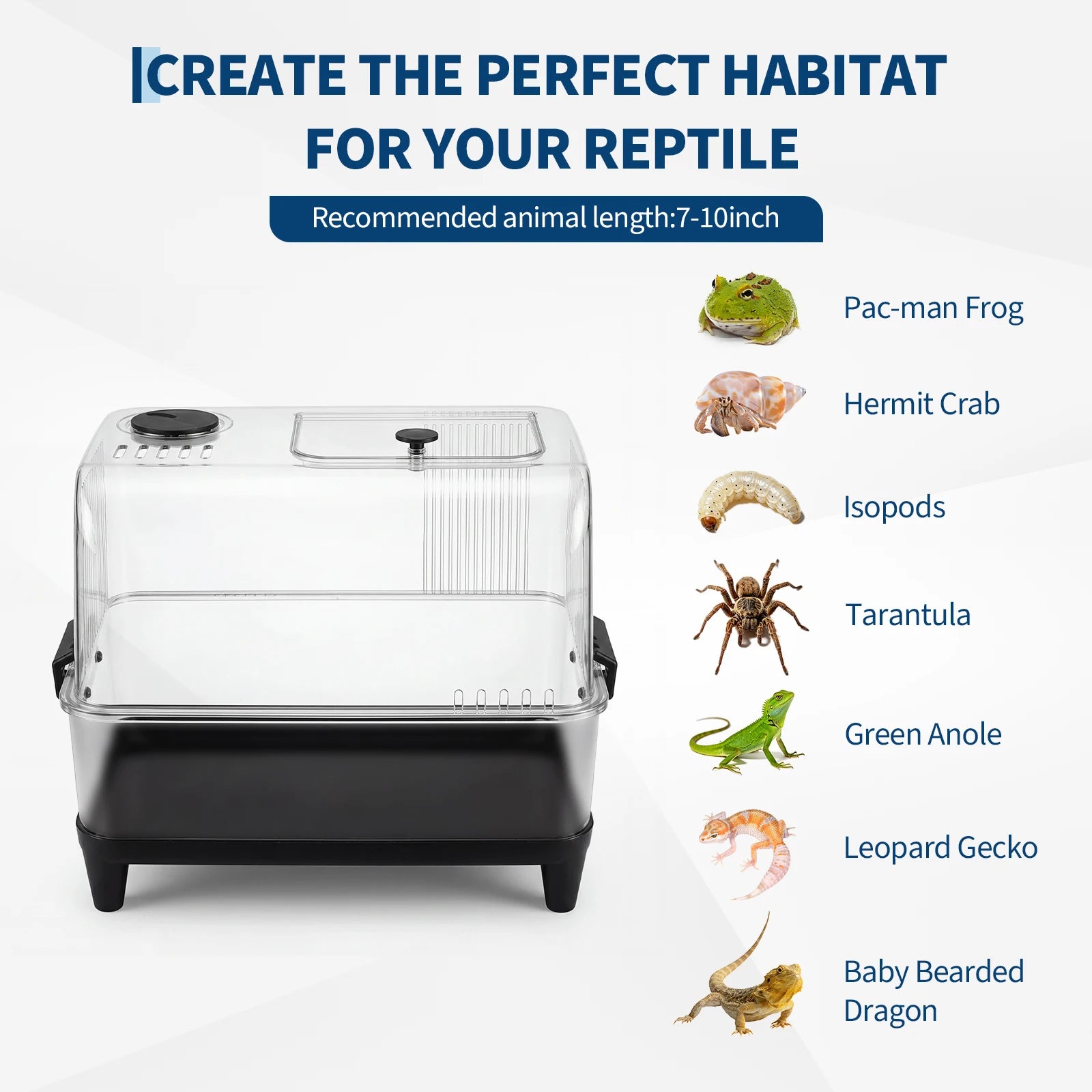 HiMISS Reptile Tank Starter Kit — Complete Acrylic Habitat with Heating
