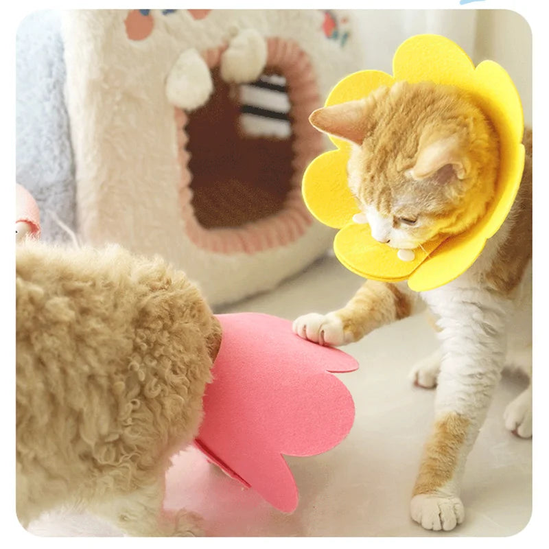 Pet Protective Recovery Collar — Anti-Bite Neck Cone for Dogs and Cats